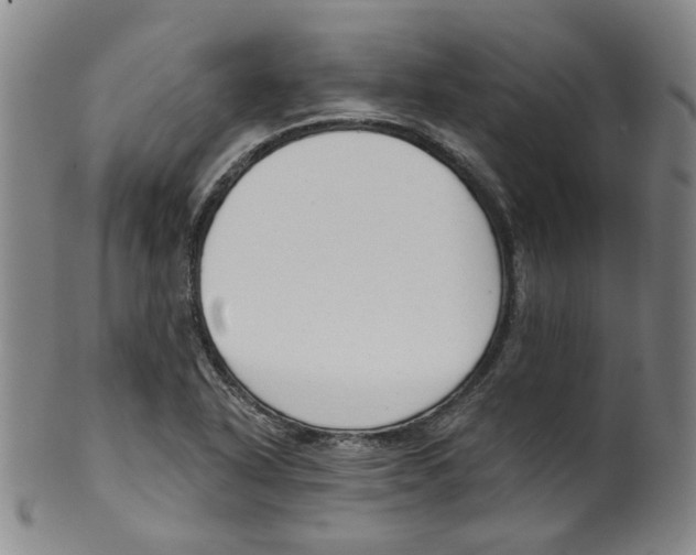 X0000100411318200806271435