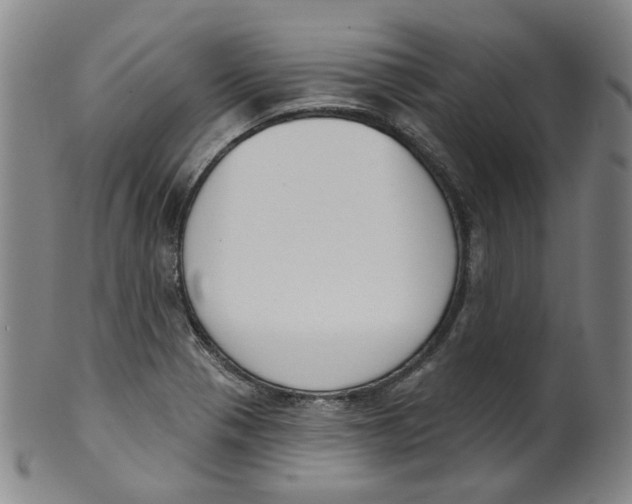 X0000100411321200806271435