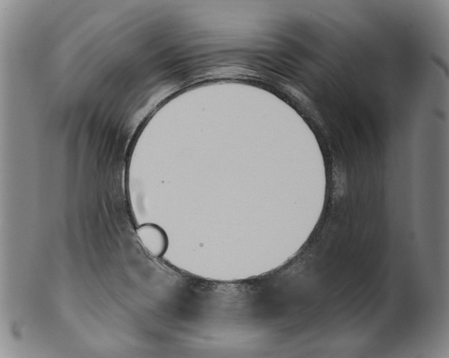 X0000100411322200806271435