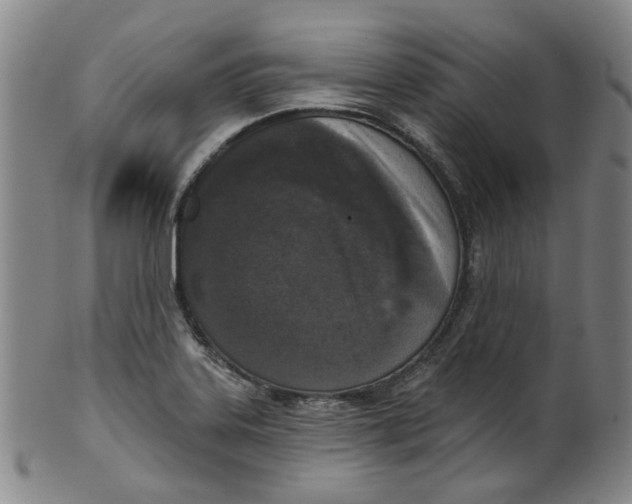 X0000100411323200806271435