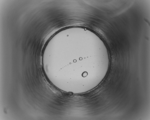 X0000100411324200806271435