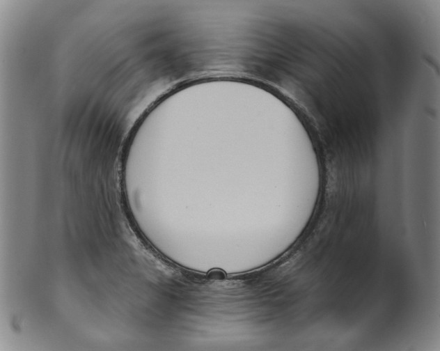 X0000100411325200806271435