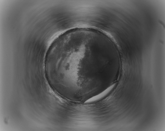 X0000100411327200806271435