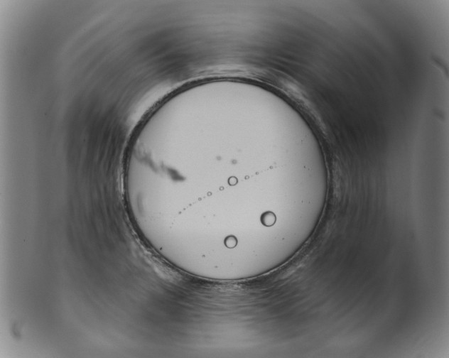 X0000100411328200806271435