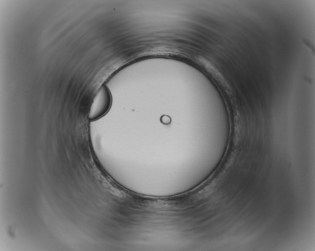 X0000100411329200806271435