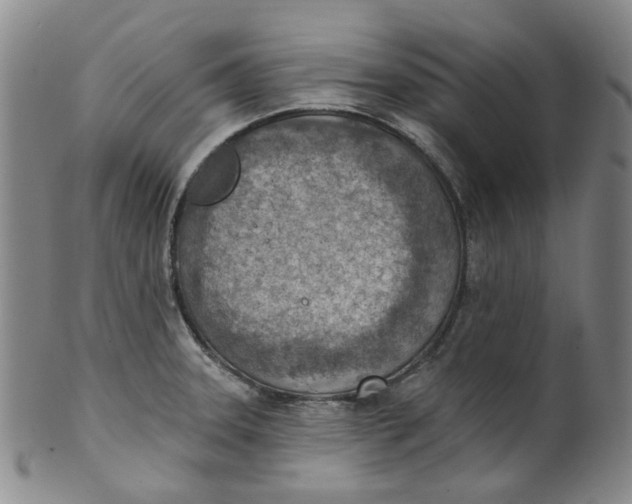 X0000100411331200806271435