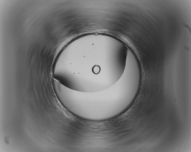 X0000100411332200806271435