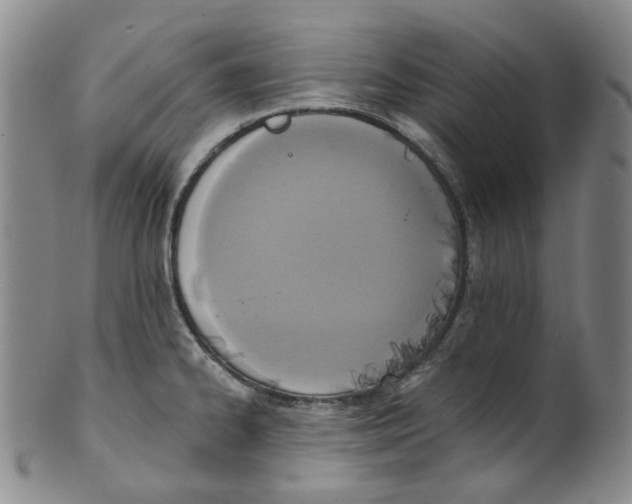 X0000100411334200806271435