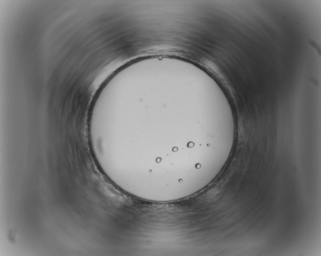 X0000100411336200806271435