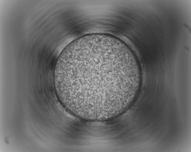 X0000100411337200806271435