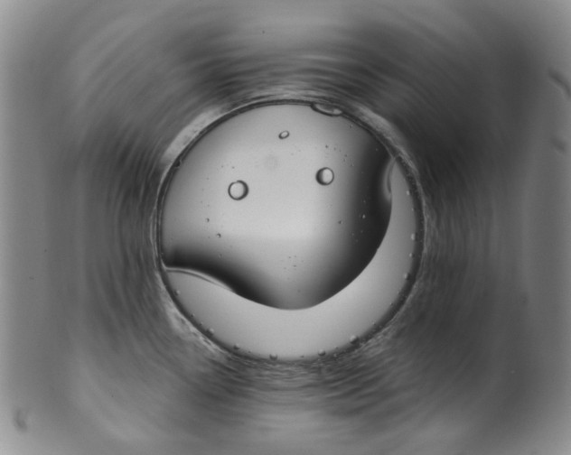 X0000100411338200806271435