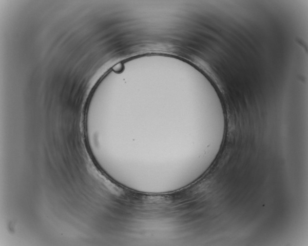 X0000100411339200806271435