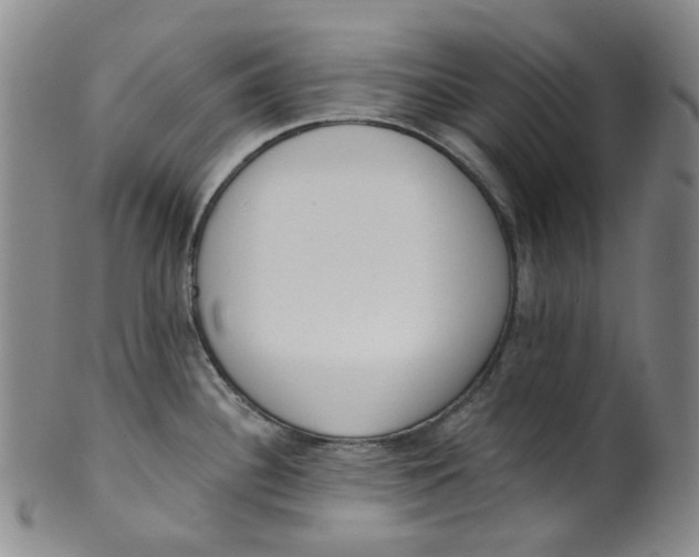 X0000100411340200806271435