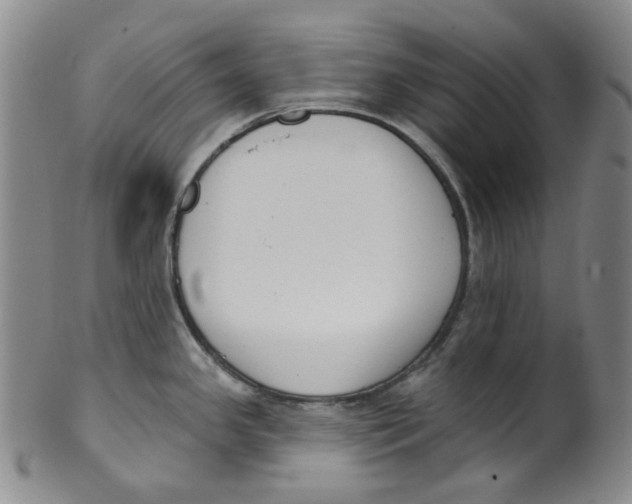 X0000100411341200806271435