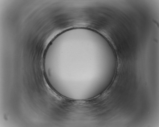 X0000100411342200806271435