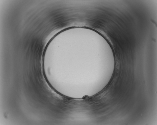 X0000100411343200806271435