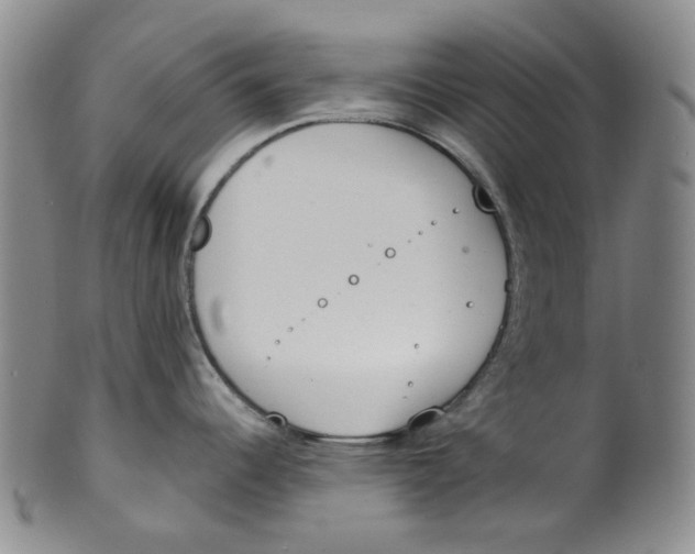 X0000100411344200806271435