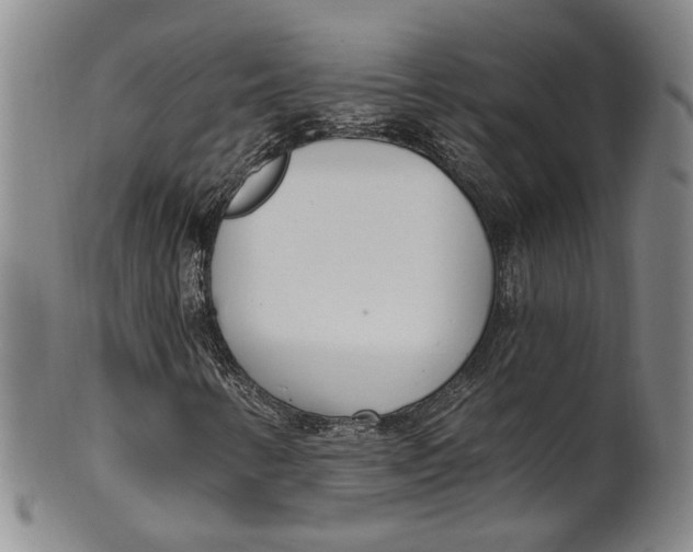 X0000100411346200806271434