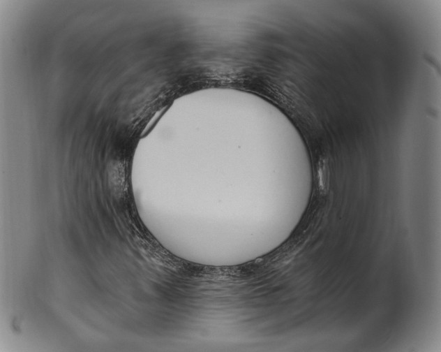 X0000100411347200806271434