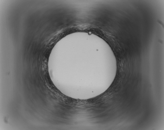 X0000100411349200806271434