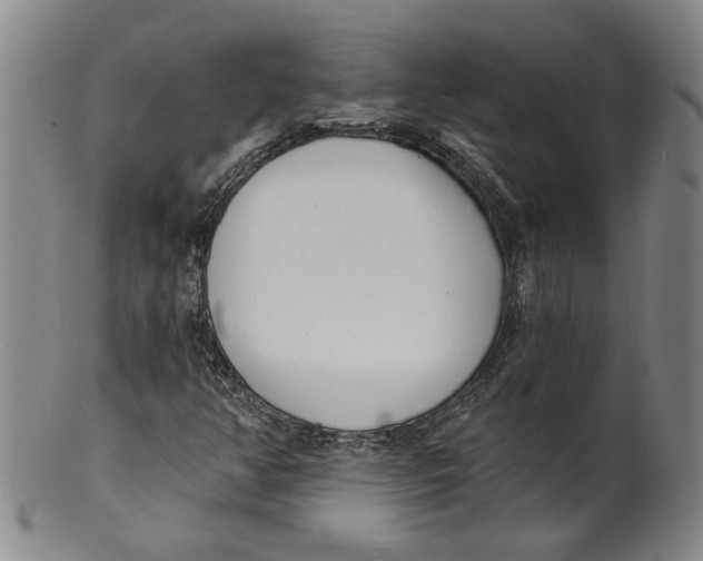 X0000100411350200806271434