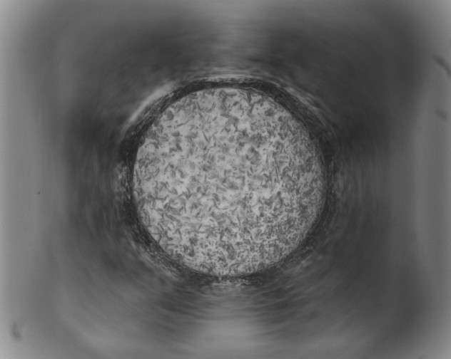 X0000100411351200806271434