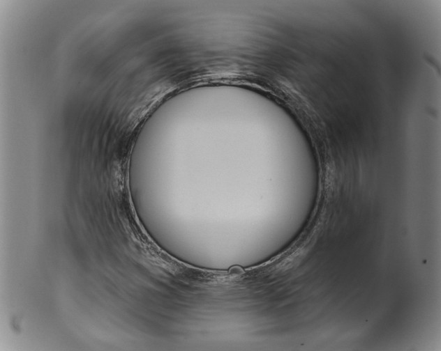 X0000100411353200806271434