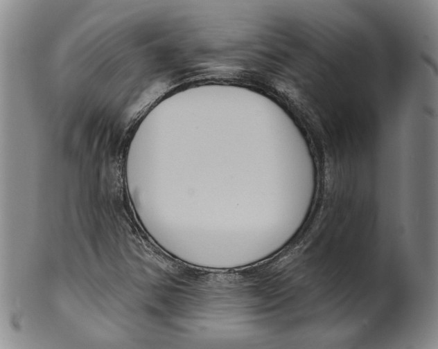 X0000100411354200806271434