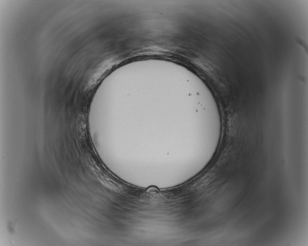 X0000100411355200806271434