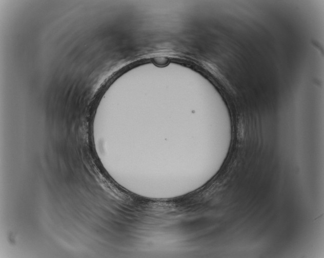 X0000100411356200806271434