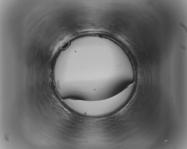 X0000100411357200806271434