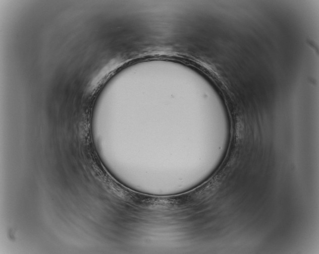 X0000100411359200806271434