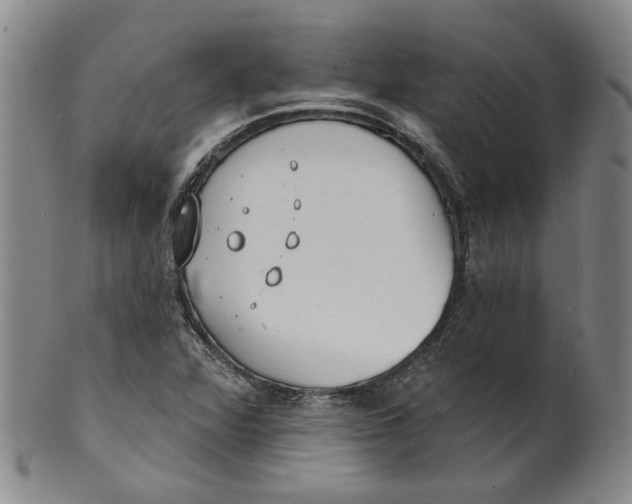 X0000100411360200806271434