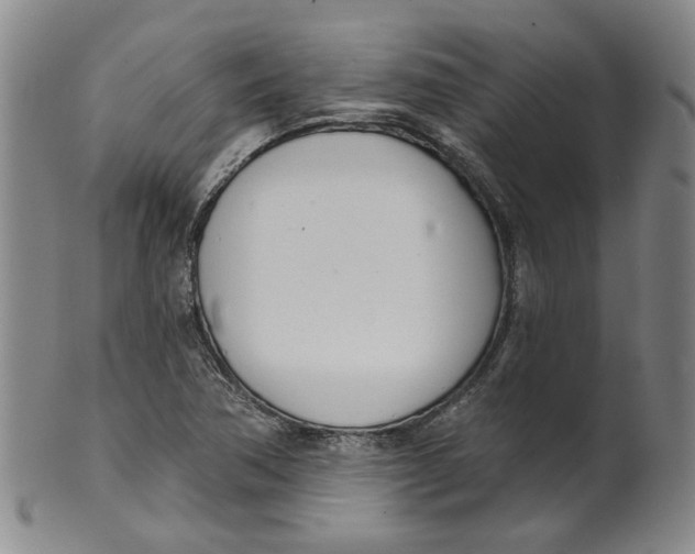 X0000100411362200806271434