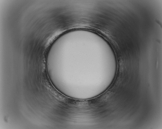 X0000100411363200806271434