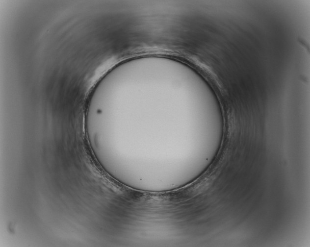 X0000100411365200806271434