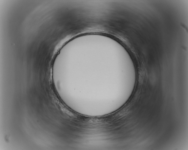 X0000100411366200806271434