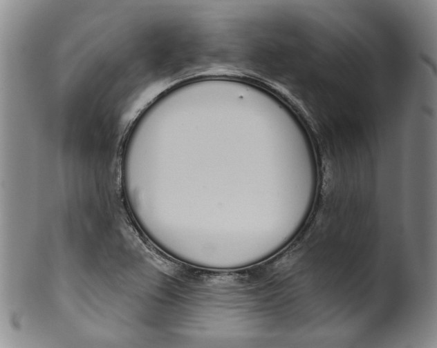 X0000100411367200806271434