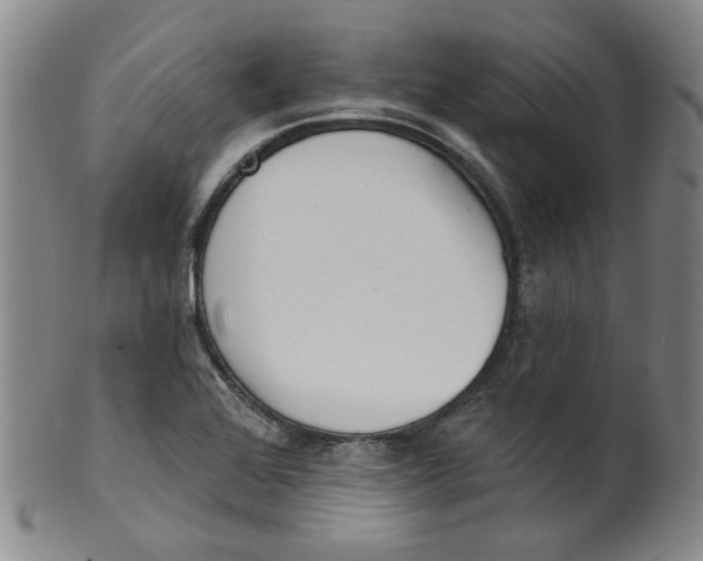 X0000100411368200806271434