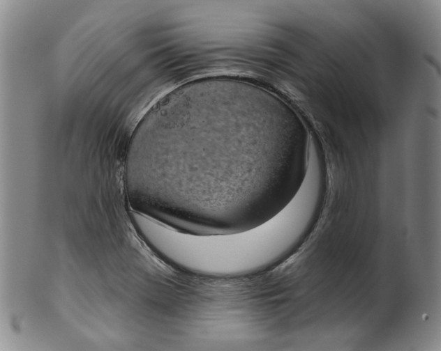 X0000100411369200806271434