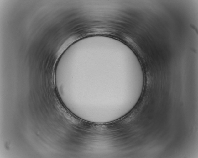 X0000100411370200806271434