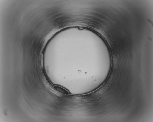 X0000100411371200806271434