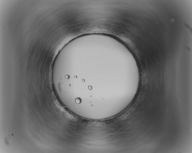 X0000100411374200806271434