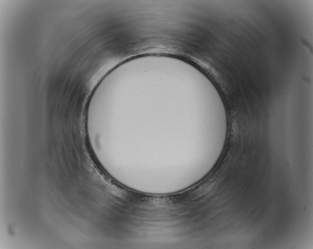 X0000100411375200806271434