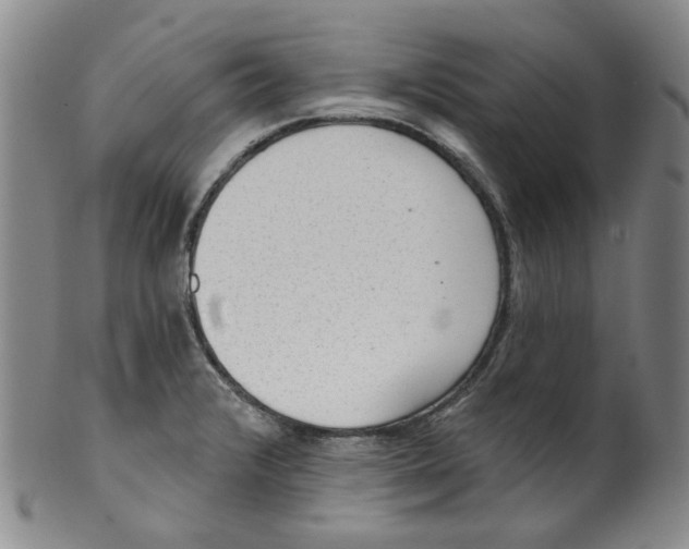 X0000100411376200806271434