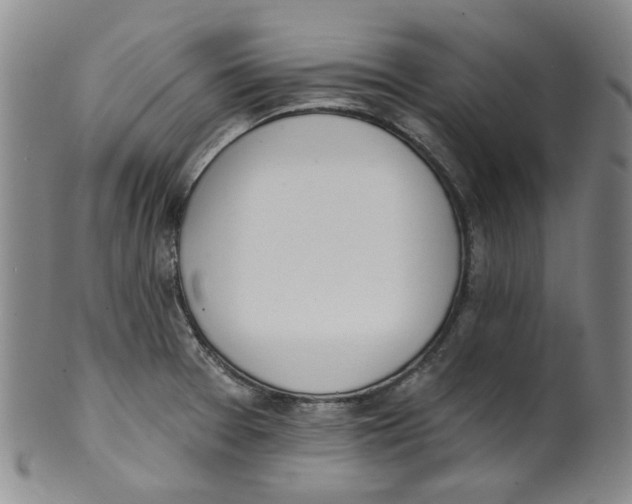 X0000100411377200806271434