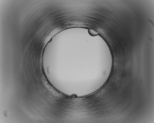 X0000100411378200806271434