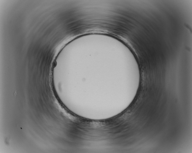 X0000100411379200806271434