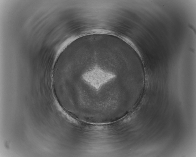 X0000100411381200806271434