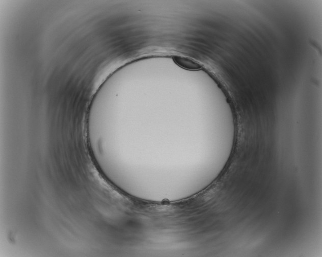 X0000100411382200806271434